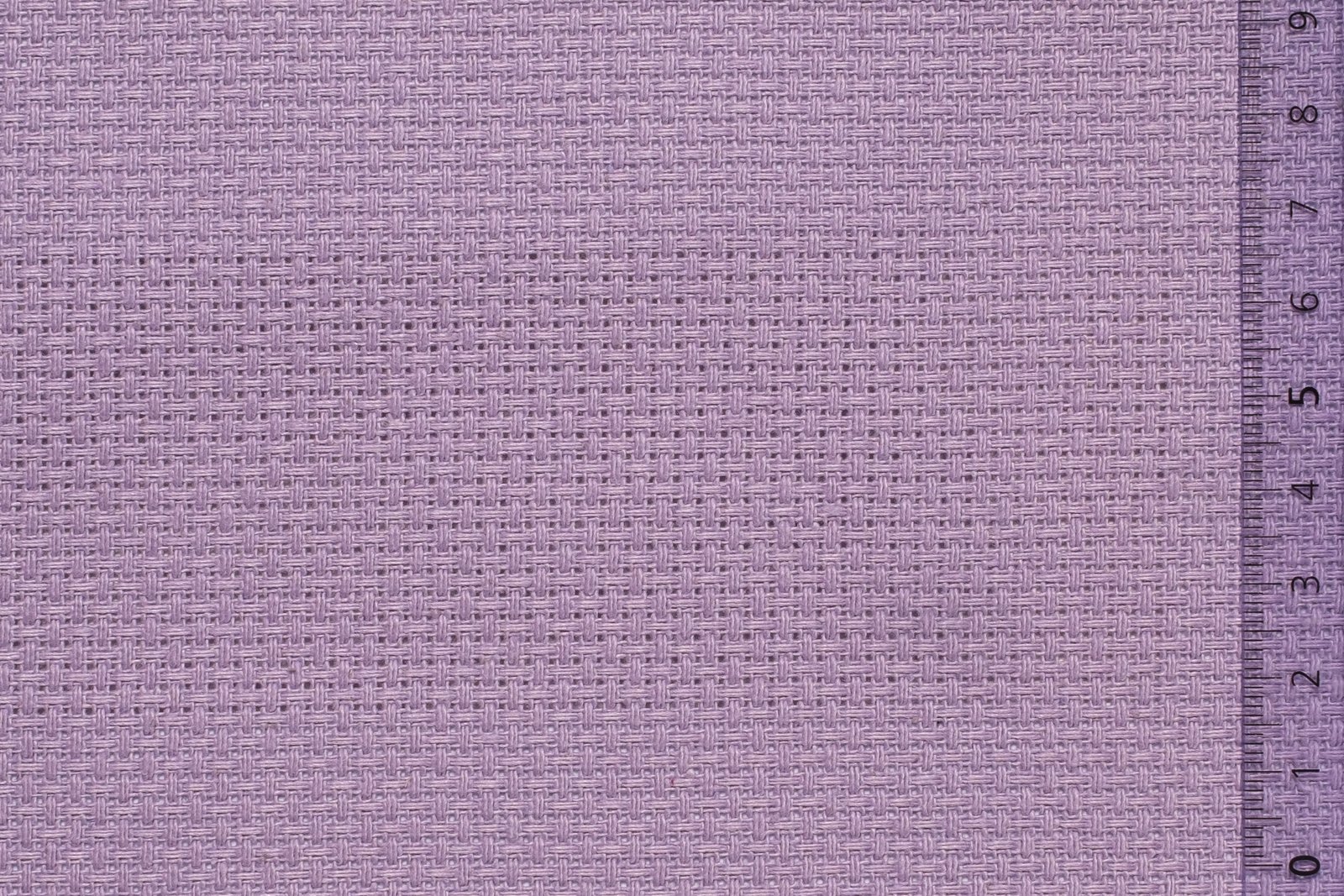 06AID40LILxxxCOT[AIDAMAS 40](LILAC)F